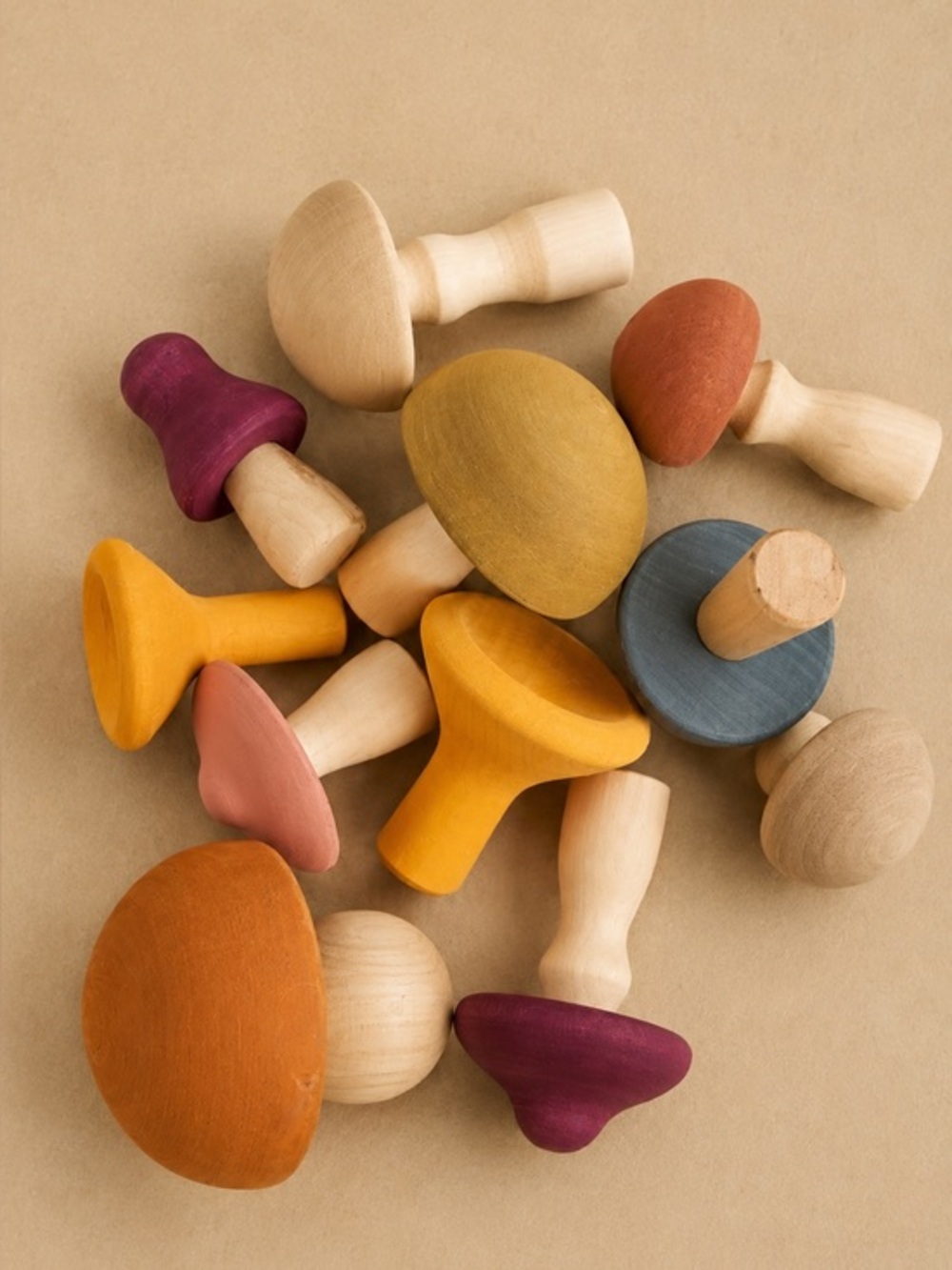 Raduga Grez Mushrooms
